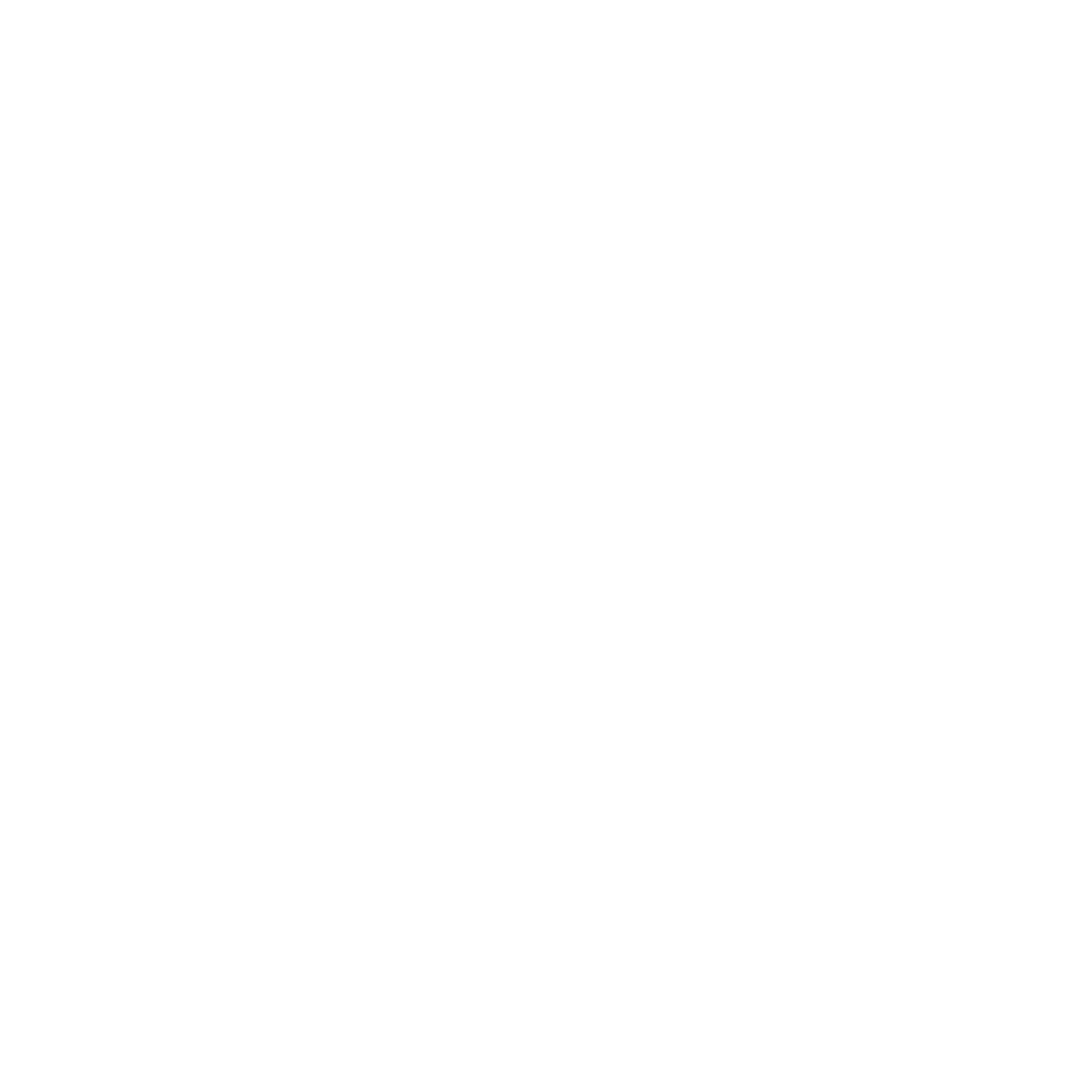 platinum homes_logo white